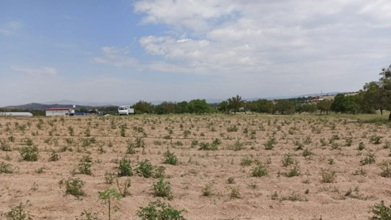 Nevşehir’de 90 bin dekar tarım arazisi zarar gördü
