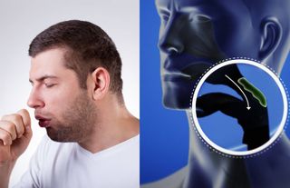 Öksürüğe ne iyi gelir? Öksürük nasıl geçer?